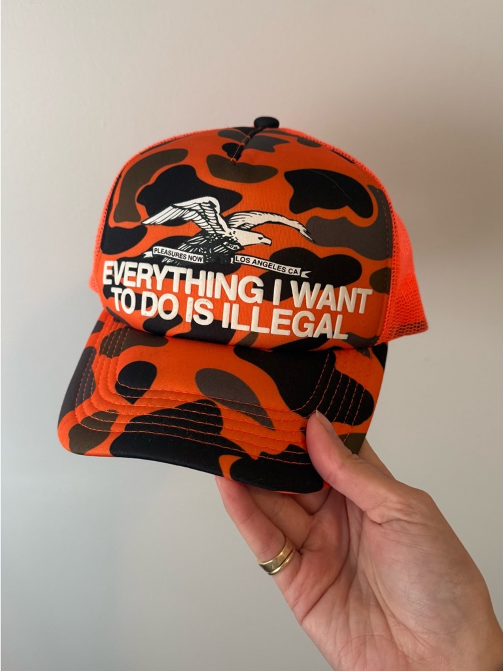 EVERYTHING I WANT TO DO IS ILLEGAL TRUCKER HAT